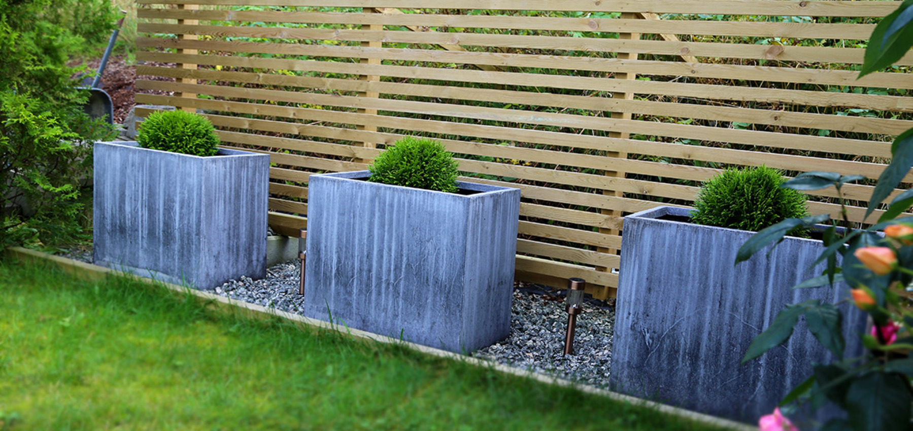Dekorer hagen med grønne planter som tåler kulde, så får du satt litt farge på vintermørket.